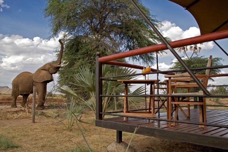 Ashnil Samburu Camp Ξενοδοχείο Εξωτερικό φωτογραφία
