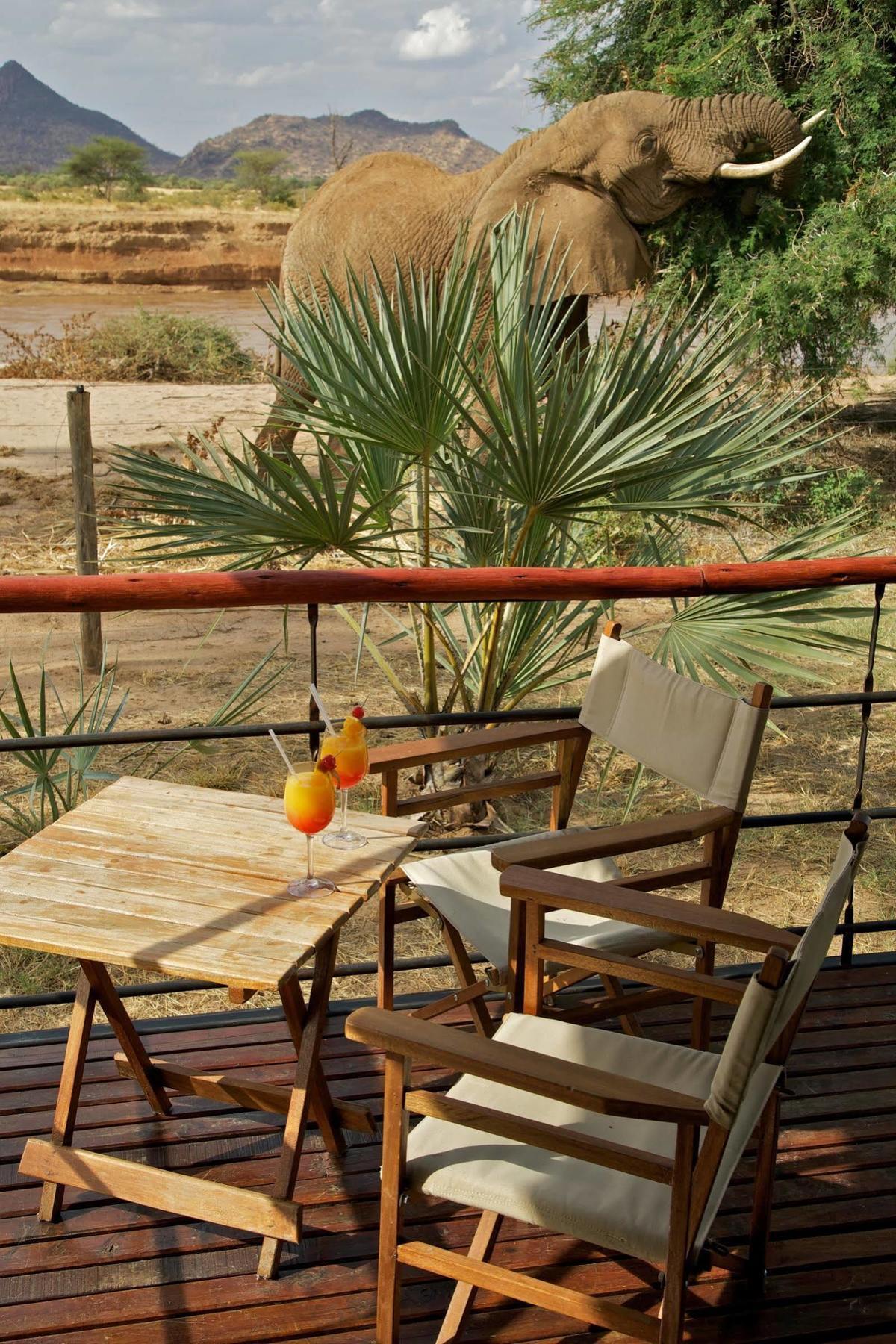 Ashnil Samburu Camp Ξενοδοχείο Εξωτερικό φωτογραφία