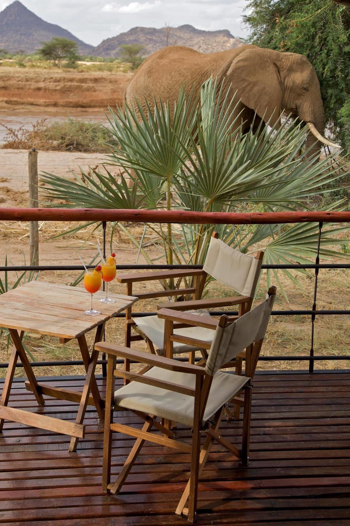 Ashnil Samburu Camp Ξενοδοχείο Εξωτερικό φωτογραφία